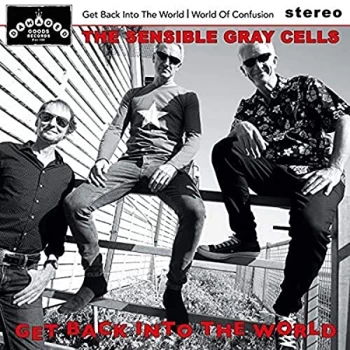 Image of The Sensible Gray Cells - Get Back Into the World CD