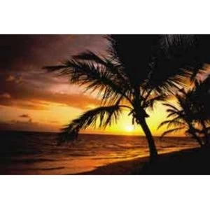 Image of Fellowes Palm Moods Mouse Mat