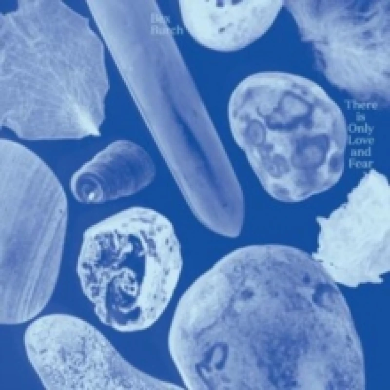 Image of There Is Only Love and Fear Vinyl