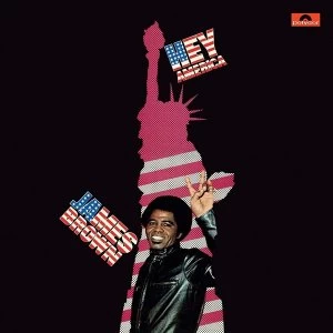 Image of James Brown - Hey America Vinyl