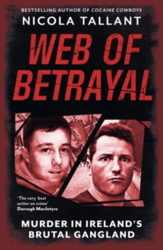 Image of Web of Betrayal : Murder in Irelands brutal gangland Paperback / softback