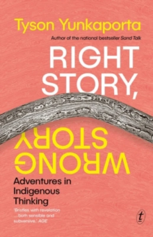 Image of Right Story, Wrong Story Paperback / softback