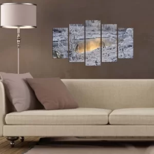 Image of 5MX-25 Multicolor Decorative MDF Painting (5 Pieces)