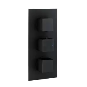 Image of Zana Matt Black Triple Control Square Concealed Valve - 2 Outlet