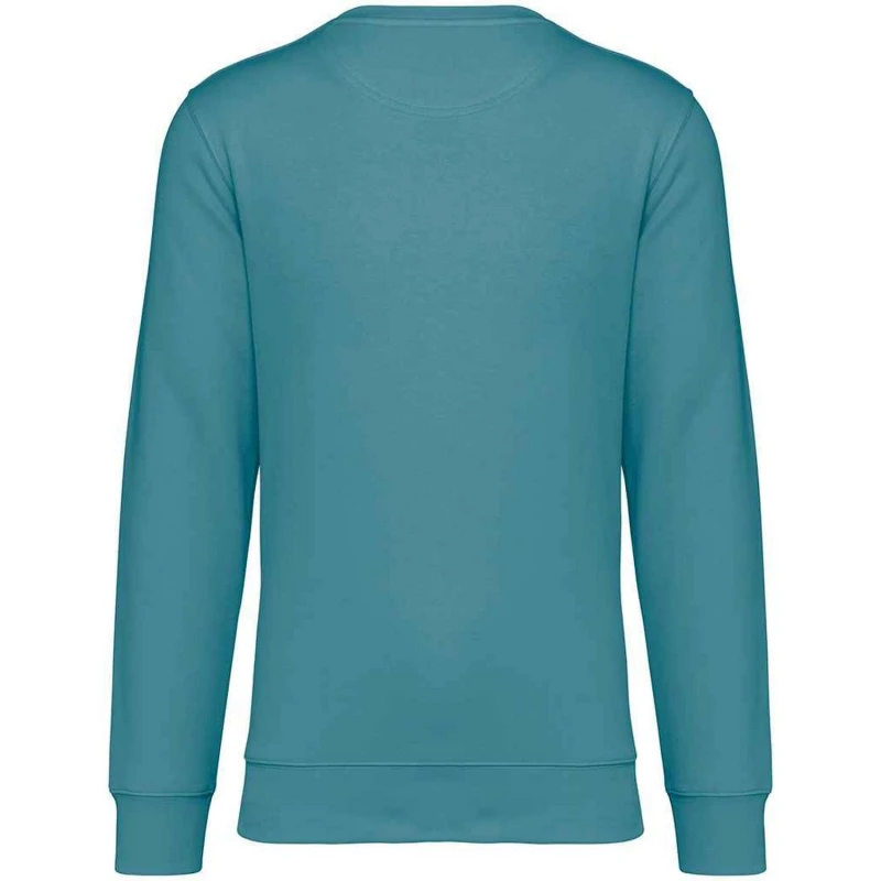 Image of Native Spirit Mens Crew Neck Sweatshirt in Duck Egg Blue Size: XS Duck Egg Blue Male XS