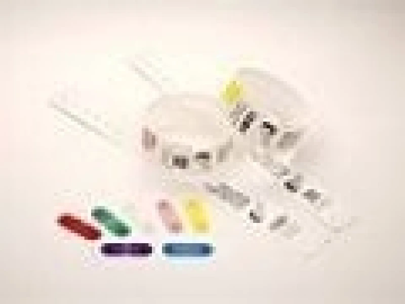 Image of Zebra Zebra Clips for use with QuickClip Wristbands Red 97032-Pink