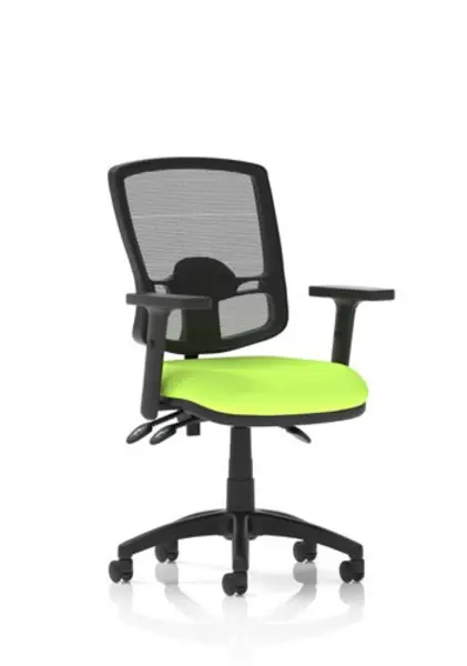 Image of Eclipse Eclipse Plus III Lever Task Operator Chair Deluxe Mesh Back With Bespoke Colour Seat In Myrrh Green With Height Adjustable Arms KCUP1675
