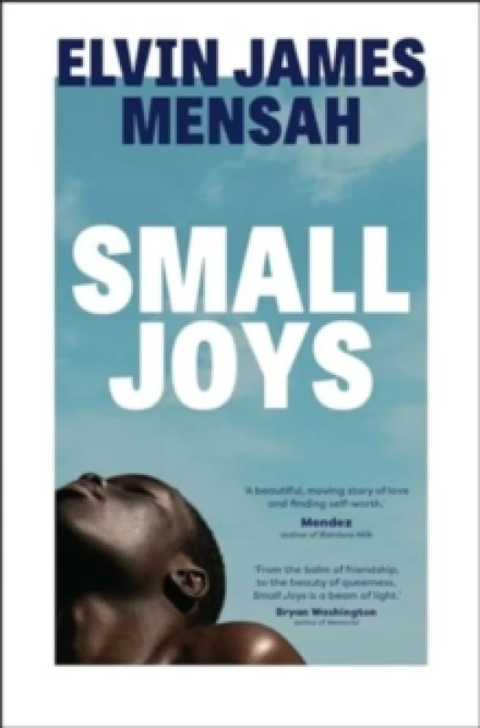 Image of Small Joys : A Buzzfeed 'Amazing New Book You Need to Read ASAP' Paperback / softback
