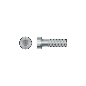 Image of M10X30 Skt Low Head Cap Screw (GR-8.8)- you get 10 - Qualfast