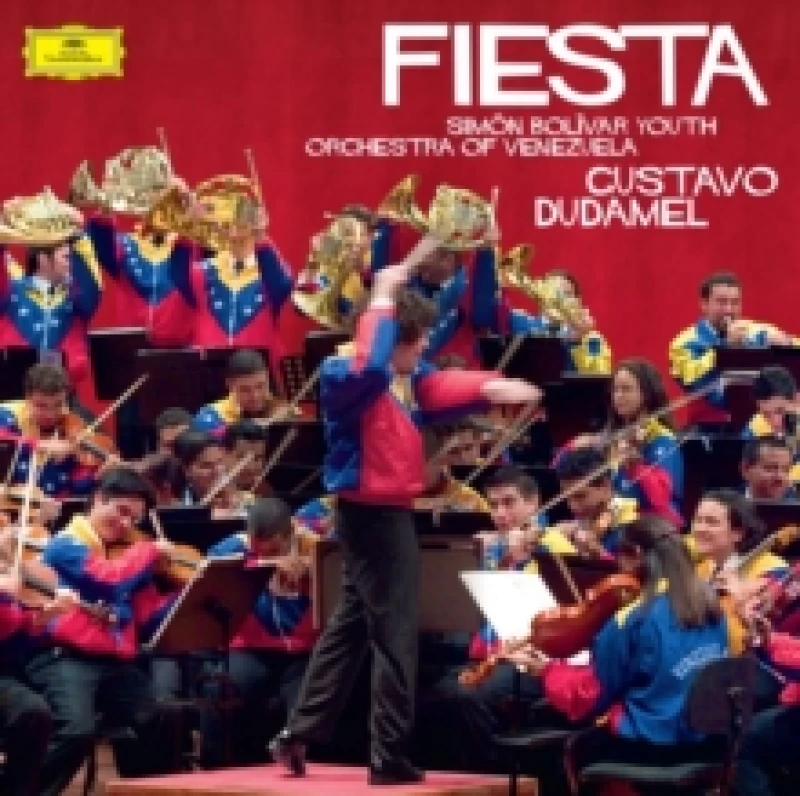 Image of Fiesta Vinyl