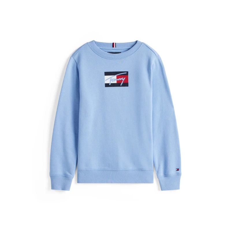 Image of Tommy Hilfiger Kids Soft Fabric Crew Sweatshirt Cloudy Blue C14 male 12Y