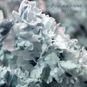 Image of Pop Ambient 2017 by Various Artists CD Album