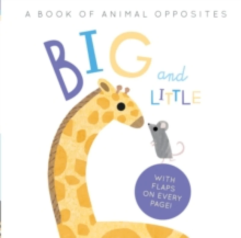 Image of Linda Tordoff Big and Little Book Multi unisex