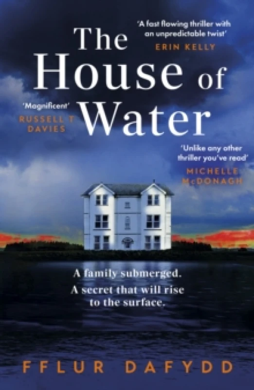 Image of The House of Water : a captivating and addictive domestic thriller with an unforgettable twist Paperback / softback