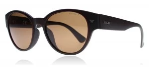 Image of Police SPL151 Sunglasses Brown Z55P Polariserade 52mm
