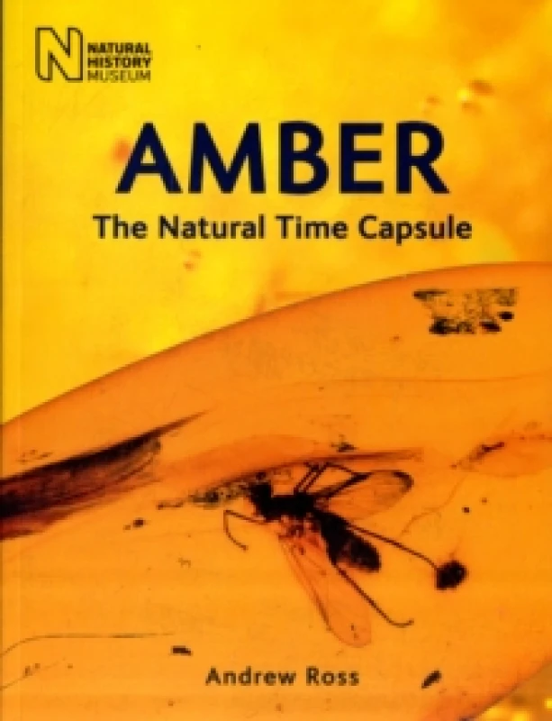 Image of Amber. Paperback. By Andrew Ross, England Natural History Museum London Books