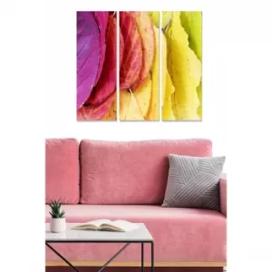 Image of MDF7847305 Multicolor Decorative MDF Painting (3 Pieces)