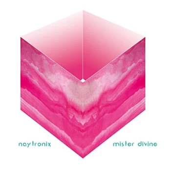 Image of Naytronix - Mister Divine CD