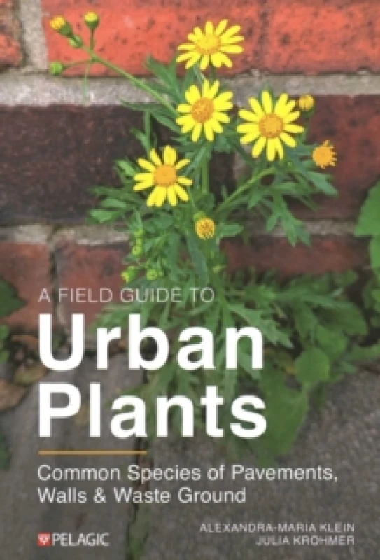 Image of A Field Guide to Urban Plants : Common Species of Pavements, Walls and Waste Ground Paperback / softback