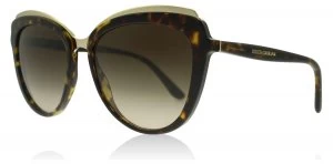 Image of Dolce & Gabbana DG4304 Sunglasses Havana 502/13 57mm