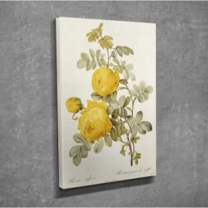 Image of DC151 Multicolor Decorative Canvas Painting