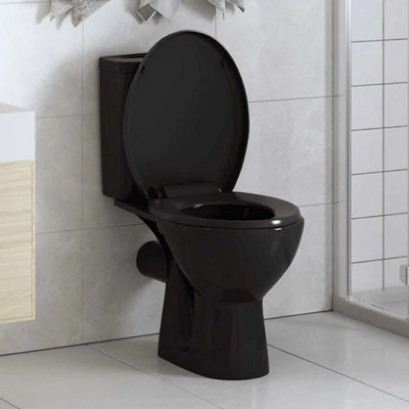 Image of Vidaxl Soft-Close Toilet Seat With Quick-Release Design Black