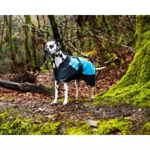 Image of Henry Wag Waterproof Dog Coat Small 40Cm