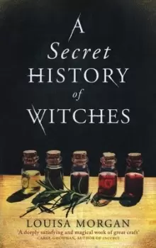 Image of A secret history of witches by Louisa Morgan