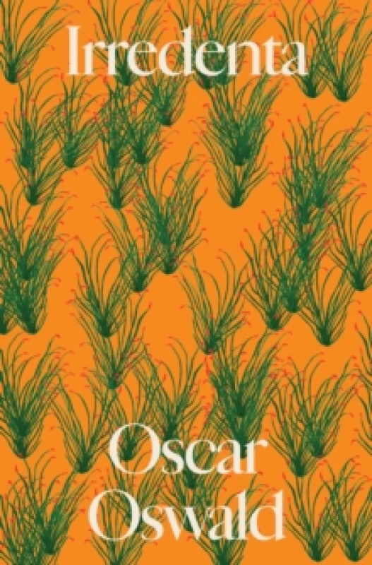 Image of Irredenta Paperback / softback