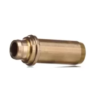 Image of TRW Engine Component Valve Guides 81-33103 VW,AUDI,FORD,Golf IV Schragheck (1J1),Golf V Schragheck (1K1),POLO (9N_),TOURAN (1T1, 1T2)