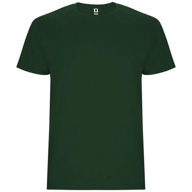 Image of Roly Stafford boys's Children's T shirt in Green