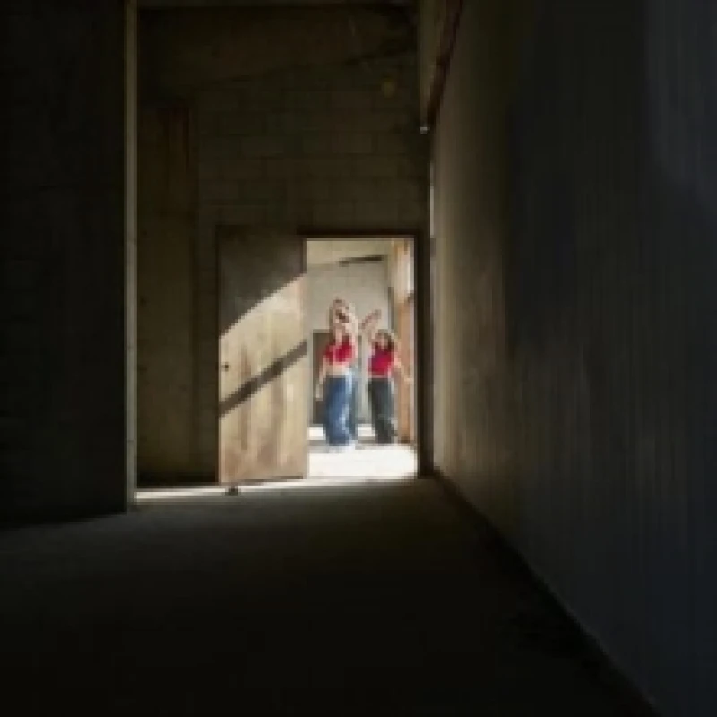 Image of I don't have the heart + flicker Vinyl