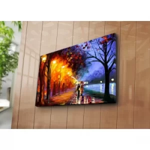 Image of 5070C-45 Multicolor Decorative Canvas Painting