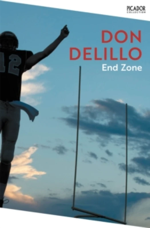 Image of End Zone Paperback / softback