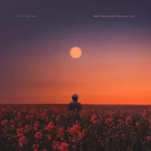 Image of Are You Even There at All? by Brent Walsh CD Album