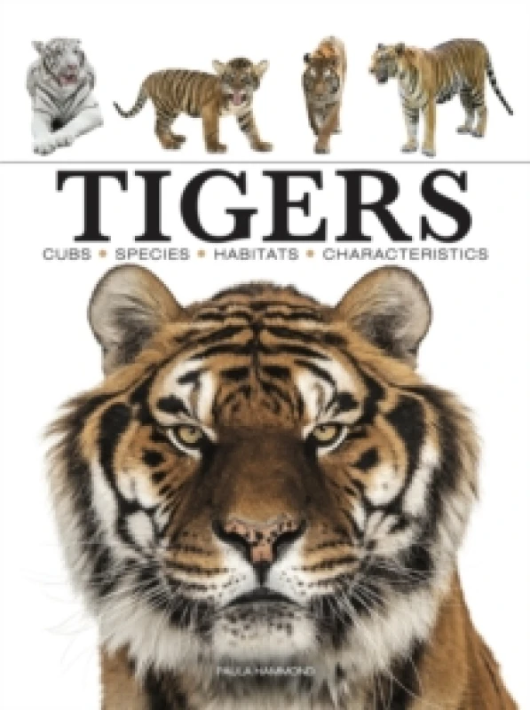 Image of Tigers Paperback / softback
