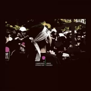 Image of A Cambodian Spring Vinyl Album