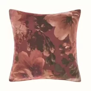 Image of Floriane Pillow Sham Clay/Botanical