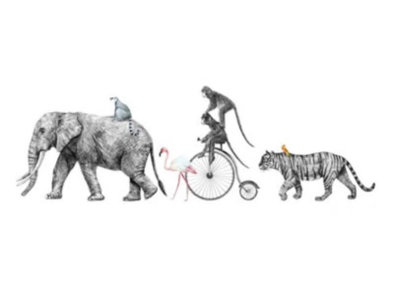 Image of As Creation Animal Queue Digital Mural 350Cm X 255Cm Grey WPRAJ Unisex