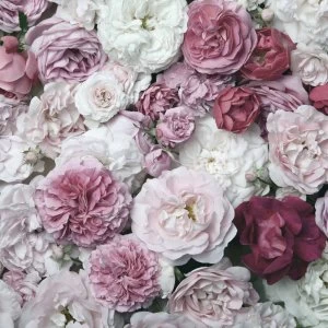 Image of Art For The Home Bouquet Blush Mural Wallpaper Paper