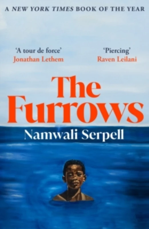 Image of The Furrows Paperback / softback