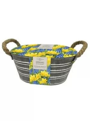 Image of Outdoor Metal Trough-Narcissi/Muscari