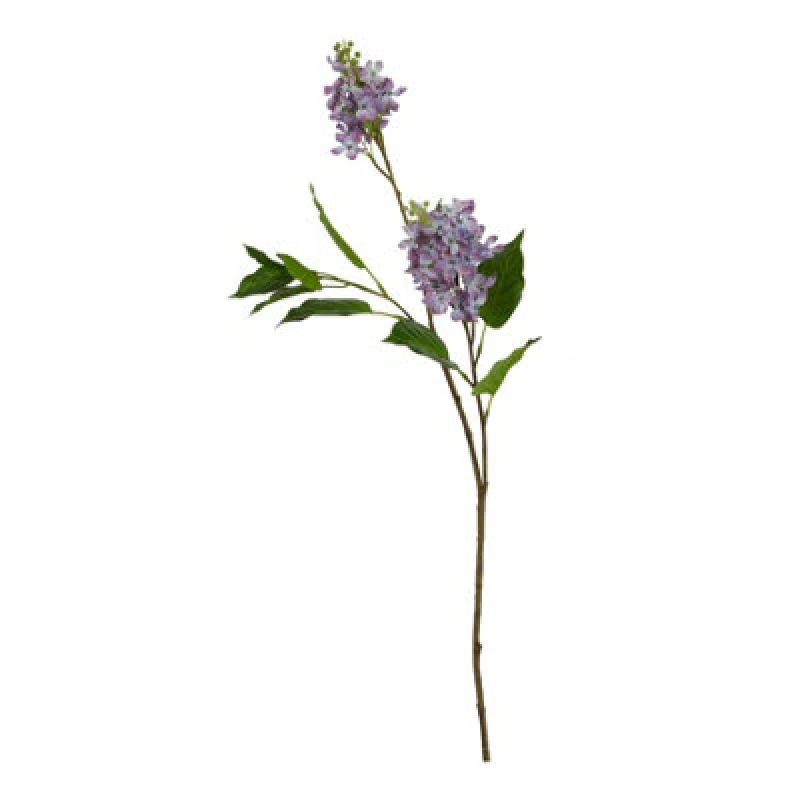Image of The Natural Garden Collection Purple Lilac Stem