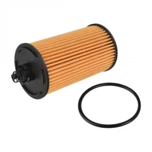 Image of Oil Filter ADG02170 by Blue Print