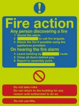 Image of Signslab 300x250 Fire Action Std Niteglo