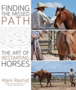 Image of finding the missed path the art of restarting horses