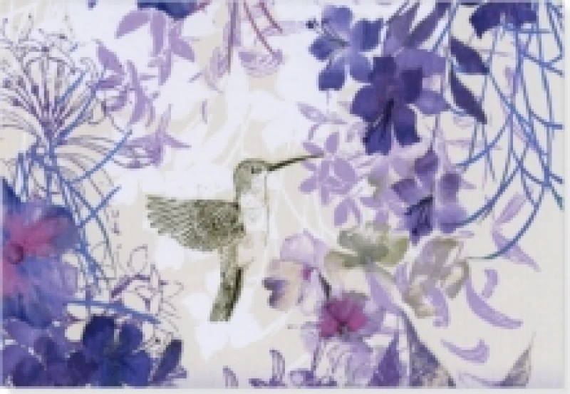 Image of Note Card Hummingbird Cards