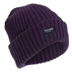 Image of FLOSO Ladies/Womens Chunky Knit Thermal Thinsulate Winter/Ski Hat (3M 40g) (One Size) (Plum)