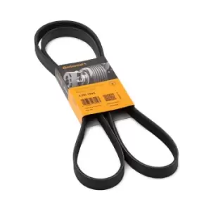 Image of CONTITECH V-ribbed belt 5PK1815 Serpentine belt,Auxiliary belt BMW,OPEL,HYUNDAI,5 Limousine (E39),5 Touring (E39),3 Limousine (E36),5 Limousine (E34)