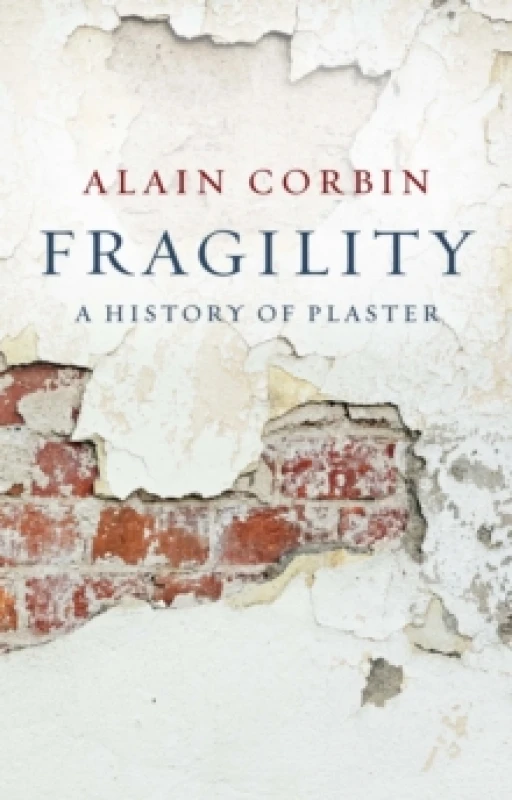 Image of Fragility : A History of Plaster Hardback